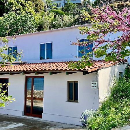 Villa Kate Borsh Esterno foto